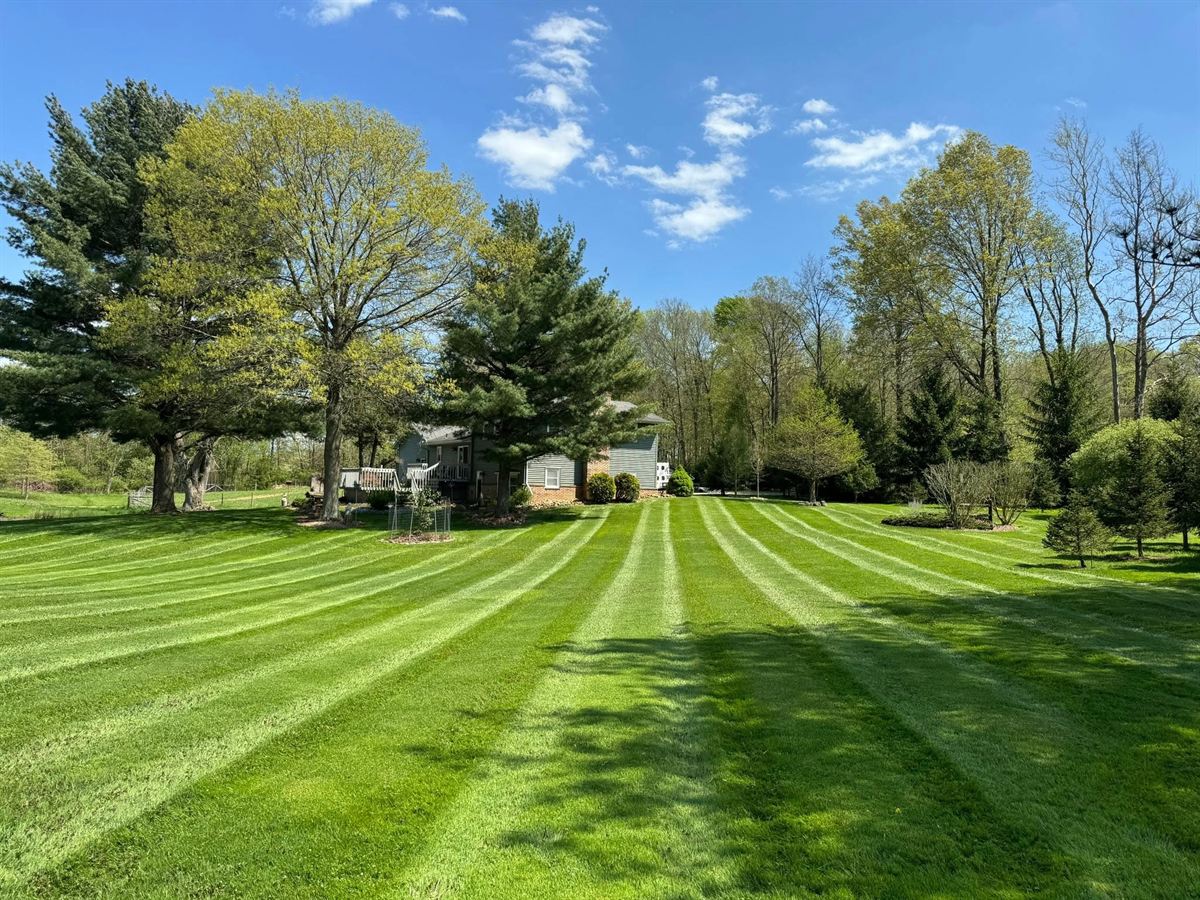 A freshly mowed backyard with crisp alternating stripes leading up to a house shaded by mature trees.